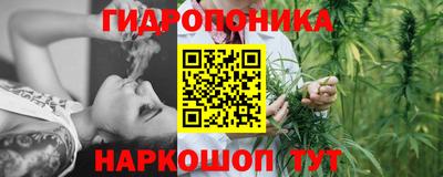 стафф Татарск