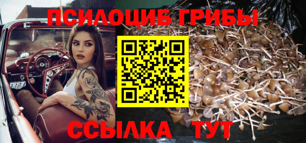 Псилоцибиновые грибы Magic Shrooms  Галлюциногенные грибы Cubensis  Норильск  как найти закладки  Вход с VPN 